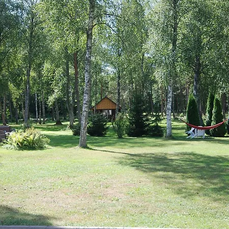 Daissy Puhkekula